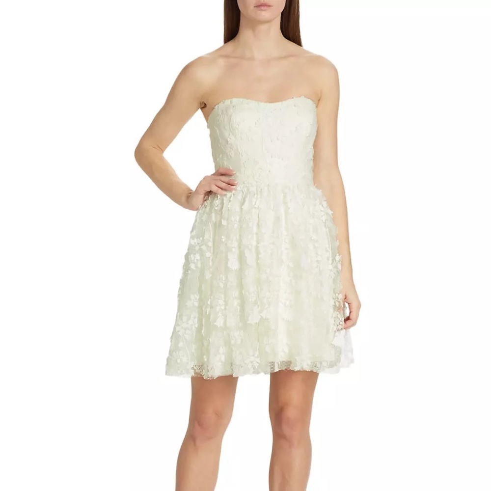 ML Monique Lhuillier Strapless Embroidered Tulle Minidress